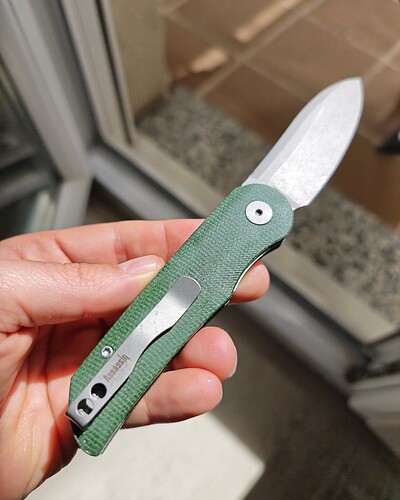 45481