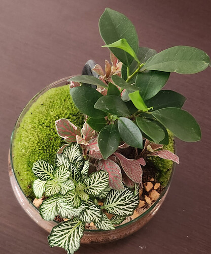 IMG_2336