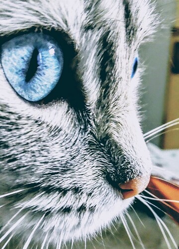 Screenshot_2025-02-16-21-04-00-95_965bbf4d18d205f782c6b8409c5773a4