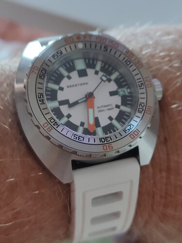 17523883202248330602013089353495