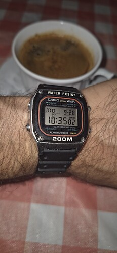1000199104