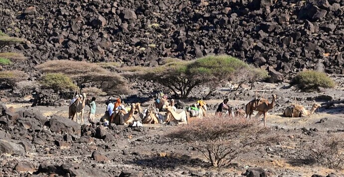 Screenshot_20250930_130012_Photos