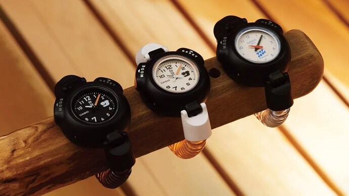 casio-sauna-watch-lead-jpg
