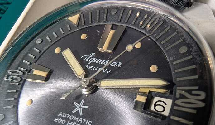 WhatsApp Image 2026-02-08 at 20.28.16