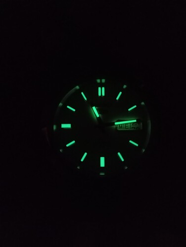 1000163072