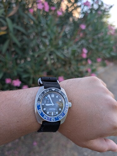 PXL_20250721_185632370.MP