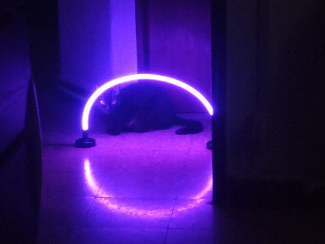 IMG_20251223_181406_736