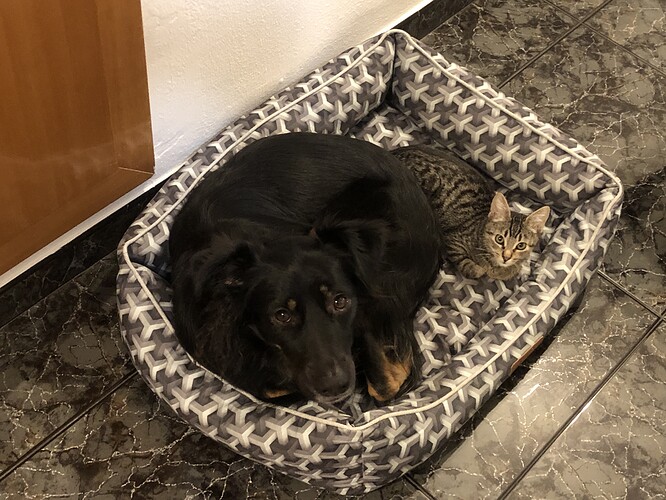 IMG_0987