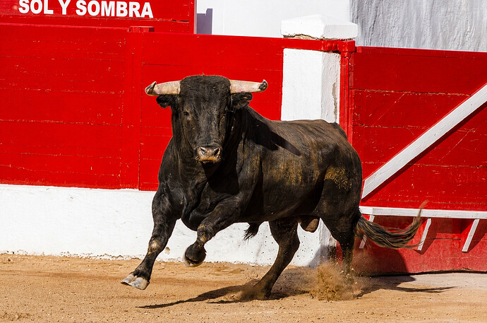 Toro