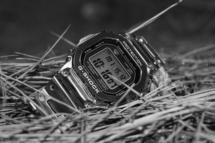 _DSC5455