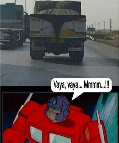 1000035599