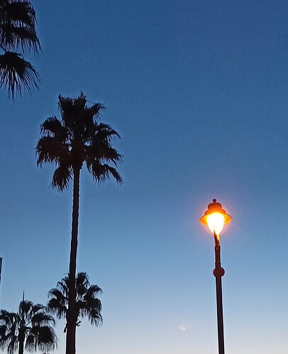 IMG_20230918_192506-01