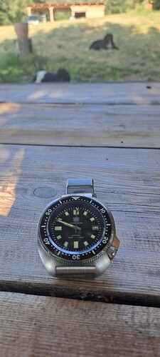 1000081246