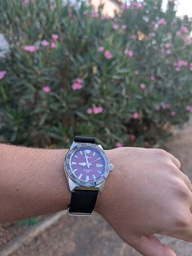 PXL_20250728_185815642.MP