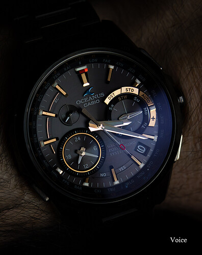 Oceanus Titanio GPS