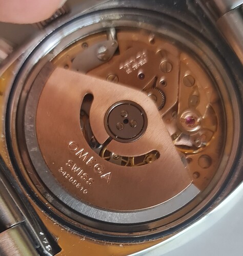 1000085281