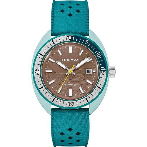 2. Sea Turtle I