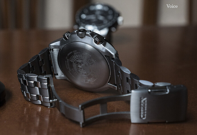 Citizen SkyHaw 2