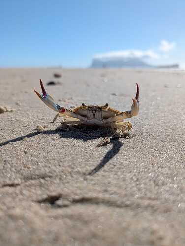 aeb7bd3a-950e-4a0b-afcd-78ed0791e512-1_all_29140