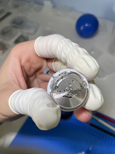 IMG_630B096E-6063-4B8C-8D90-F063531928F2