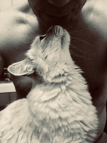 AB51E9E8-0CA2-4B2A-BA3B-E3EAF6F094ED_1_105_c