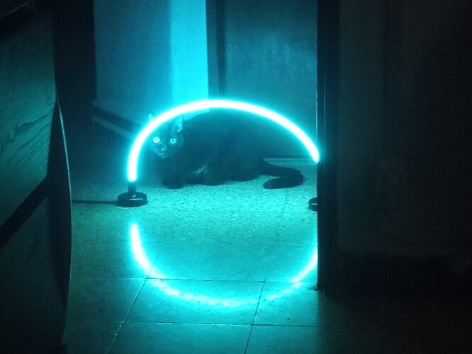 IMG_20251223_181357_970