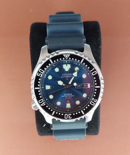 citizen promaster 1