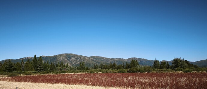 IMG_20260704_181130