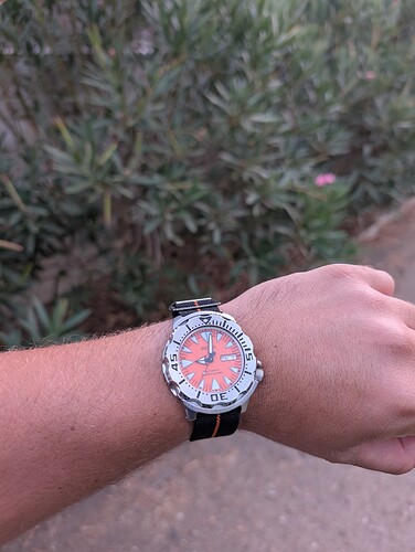 PXL_20250825_190225216.MP