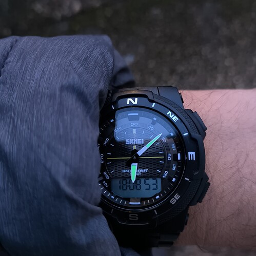 1000036411