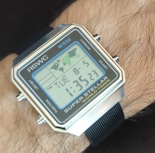 1000031313