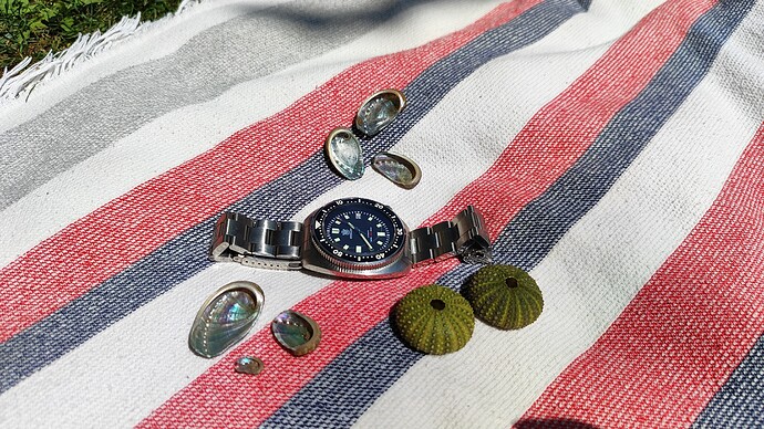 afa5833e-df98-4482-8805-4d353aa433e0-1_all_1835