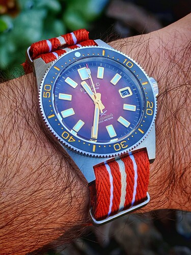 17577561844893997100382194490365