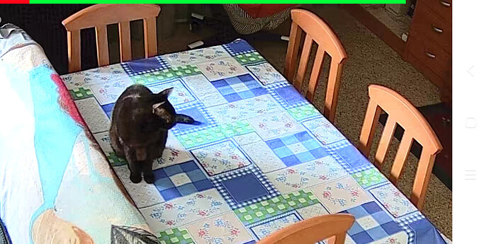 Screenshot_20241115-141843