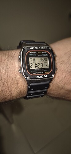 1000163766