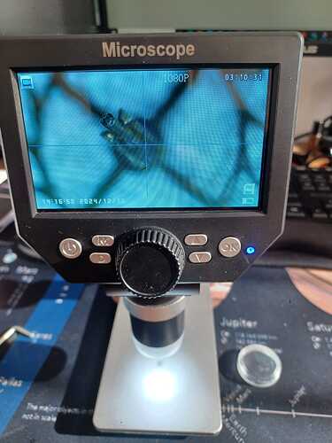 Imagen de WhatsApp 2024-12-13 a las 13.14.53_1d50475a