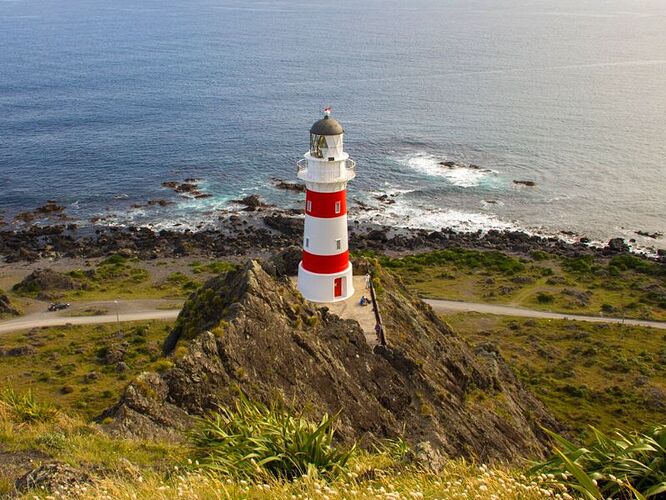 Cape-Palliser-8