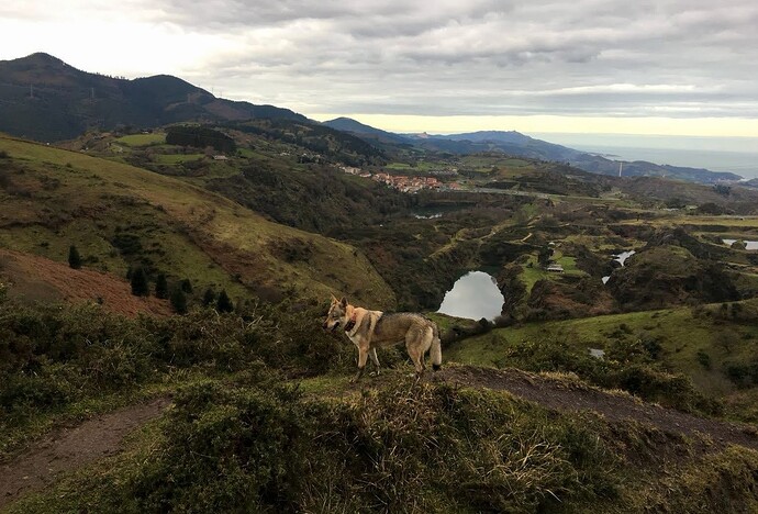 IMG-20180125-WA0000 (2)