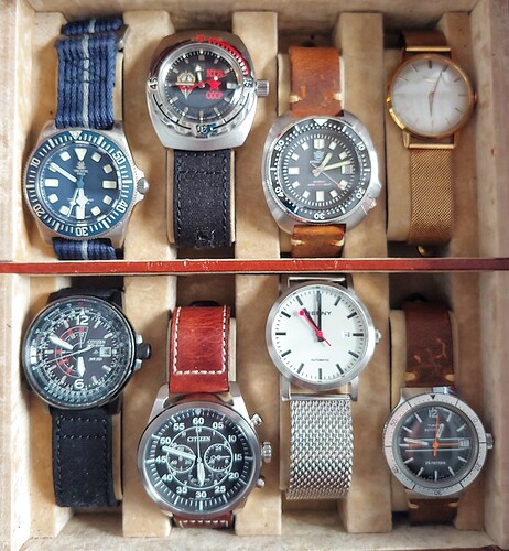 20250224_174828_HDR-01