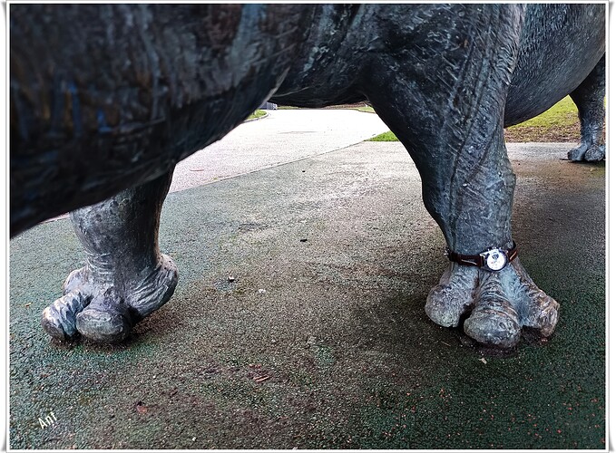 50 E13 IMG_20260202_092155