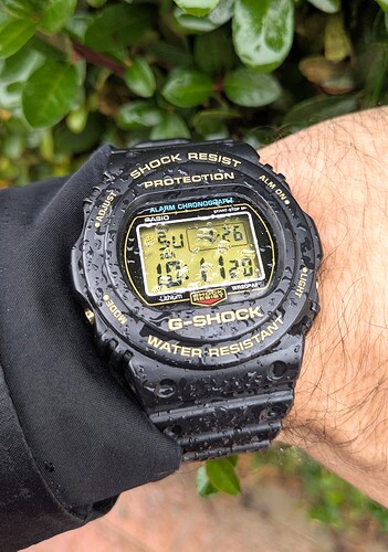 PXL_20250126_091120466~2