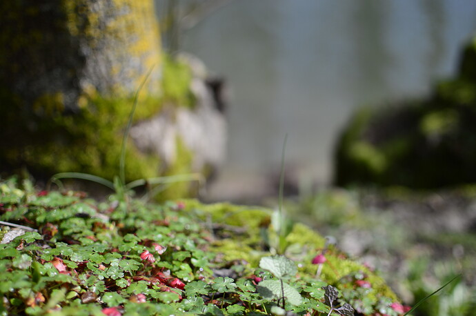 _DSC0066