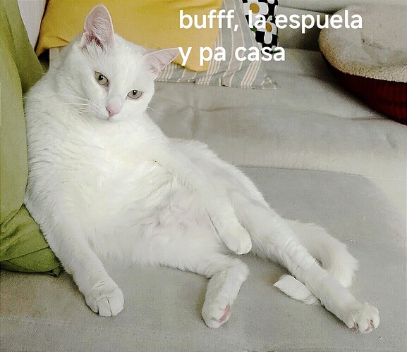 1000038601