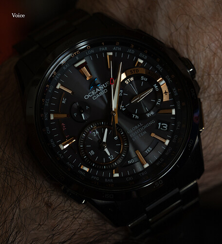 Oceanus Titanio GPS