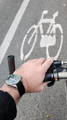 27ab35dfecfe938f85dd1cb7877660e99b41d017_2_562x1000