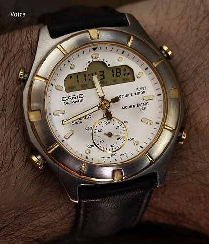 Oceanus AW-511 Vintage