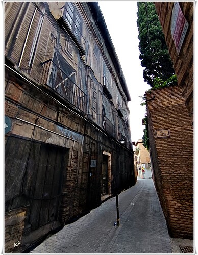 31 IMG_20260124_100707