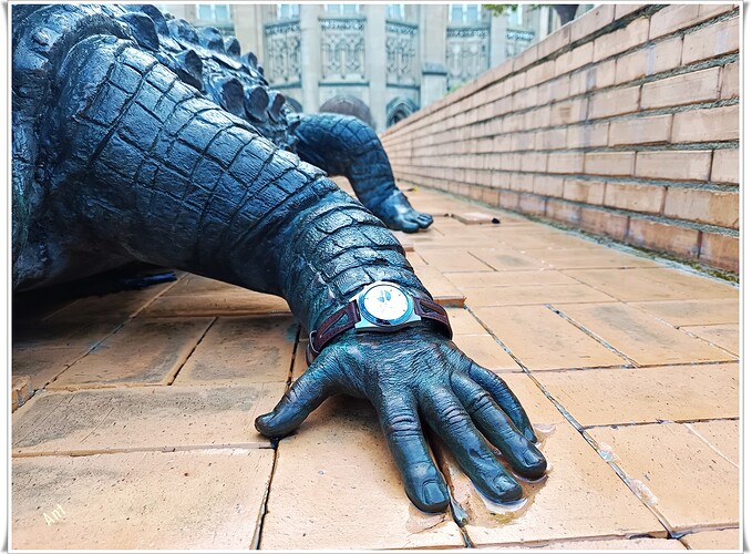 48 E11 IMG_20260202_091807