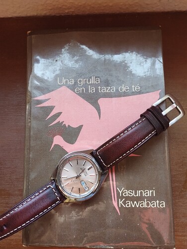 IMG_20250906_110856619