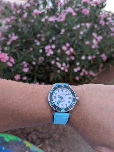 PXL_20250704_193718674.MP